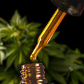 The Truth Behind the Cost of CBD Oil