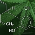 Frosted Kush Strain Effects That Highlight the Power of Cannabidiol