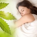 Does hemp or cbd oil help you sleep?