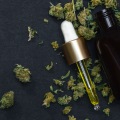 The Power of CBD Oil for Sleep: An Expert's Perspective