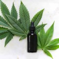 Hemp Oil vs CBD Oil: What's the Real Difference?