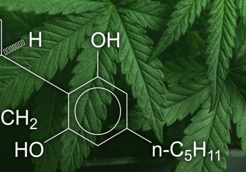 Frosted Kush Strain Effects That Highlight the Power of Cannabidiol
