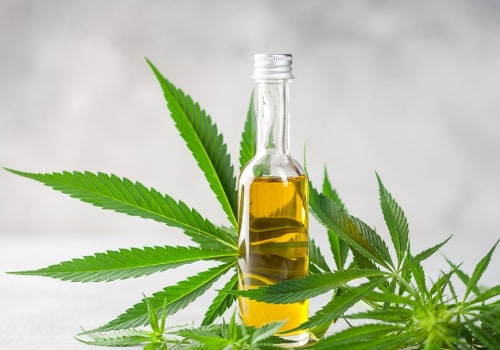 Cooking with CBD Oil: Unleashing Your Creativity in the Kitchen