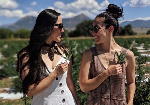 Suver Haze CBD Strain Effects and Benefits You Should Know
